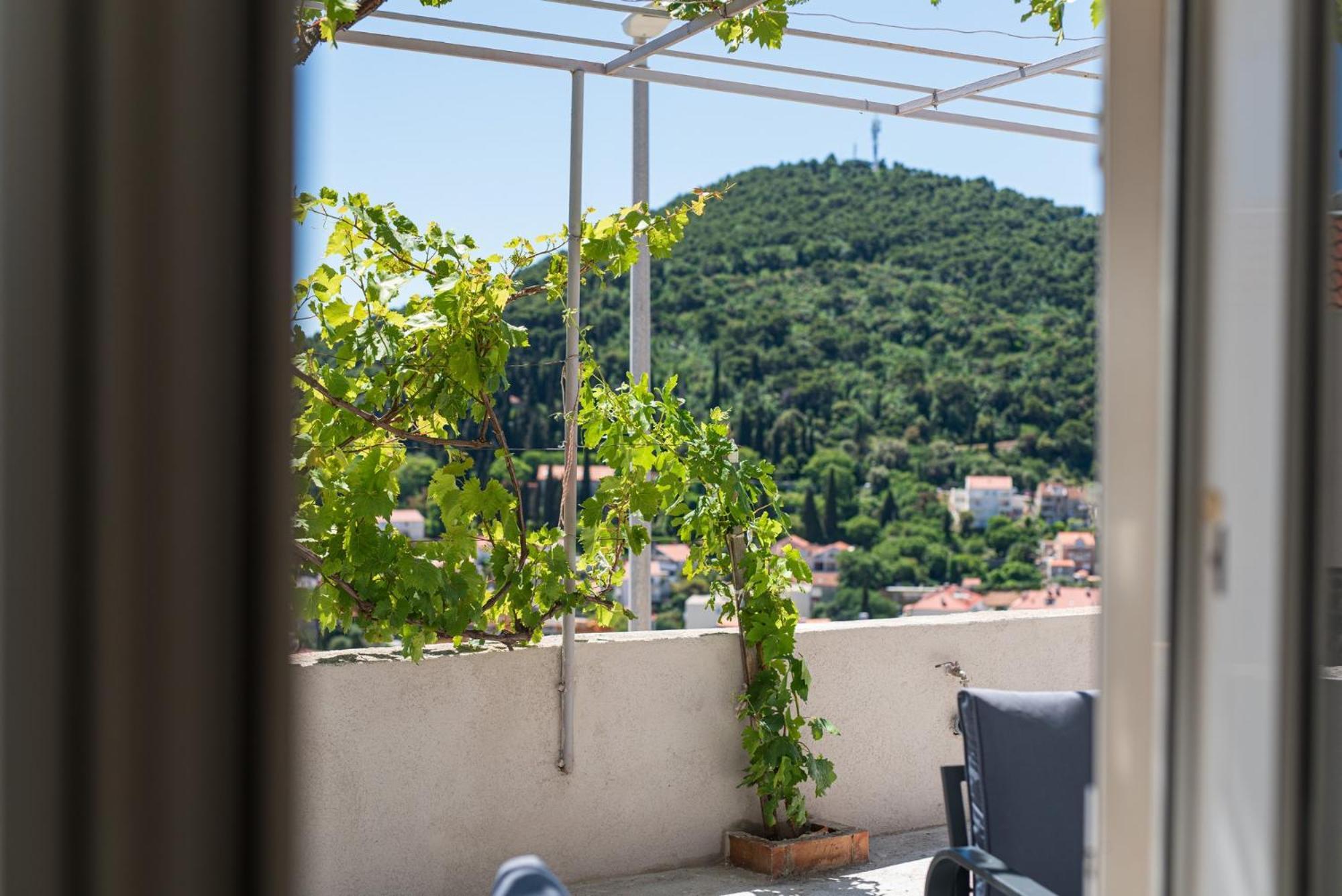 Guesthouse Niko Dubrovnik Exterior foto